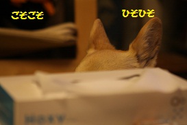 ごそごそ