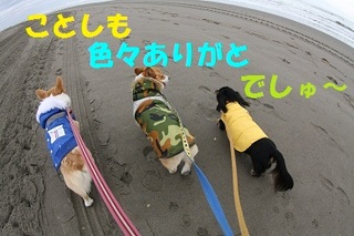 sIMG40_2012_12_31_7623.jpg