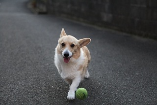 sIMG5_2012_12_12_4813.jpg
