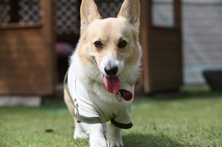 sIMG5_2013_09_29_9999_57.jpg