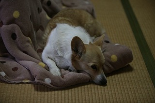 sIMG6_2013_01_14_9988.jpg