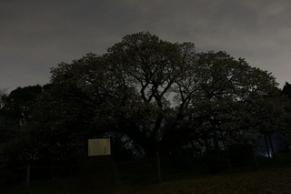 sIMG6_2013_04_04_9999_110.jpg