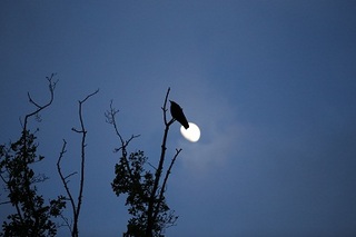 sIMG6_2013_04_21_9999_356.jpg