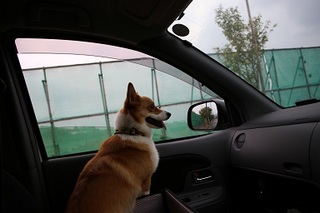 sIMG6_2013_07_26_9999.jpg