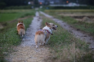 sIMG6_2013_09_07_9999_10.jpg