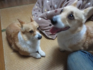 sIMG_0541.jpg