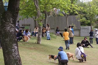 sIMG_2011_05_05_4292.jpg