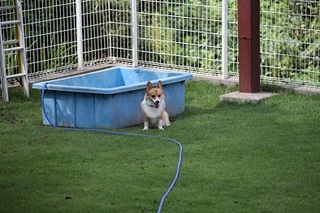sIMG_2012_09_08_0880.jpg