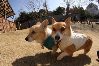 sIMG40_2013_02_24_9999_181.jpg